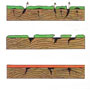 Защита деревянных конструкций от гниения